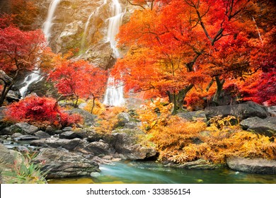 Amazing waterfall in colorful autumn forest  - Shutterstock ID 333856154