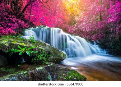 Amazing Waterfall In Colorful Autumn Forest 