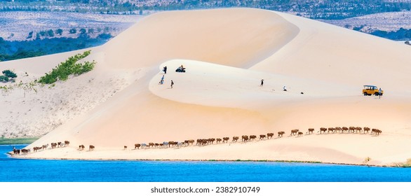 Amazing White Sand Dune in the desert Mui Ne, Vietnam near the Vietnamese town of Phan Thiet during the daytime