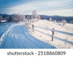 amazing winter landscape with mountains on horizon. fir trees covered with snow. beautiful winter landscape. Carpathian mountains. Ukraine