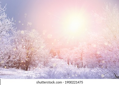 Amazing winter morning. Beautiful forest covered with snow - Shutterstock ID 1900221475