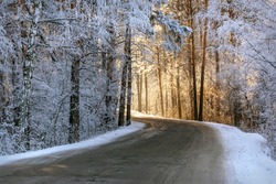 Amazing Winter View With Asphalt Road Through A Snowy Forest With Trees Covered In Hoarfrost, Snowdrifts On The Side Of The Road And Sunlight Ahead Of The Trees