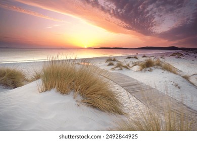 amazing wooden path threw sand dunes at the beach in sunset light                              - Powered by Shutterstock