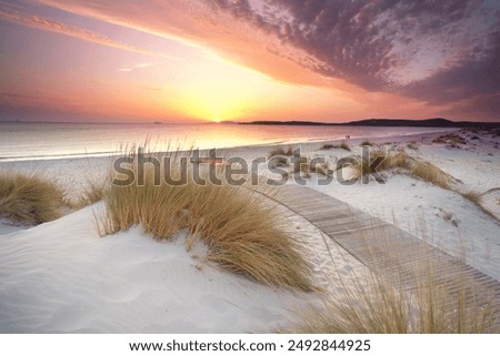 Similar – Image, Stock Photo Sand dunes and beach at the Baltic Sea Germany. Seascape, sand dune landscape with beach and blue sea.