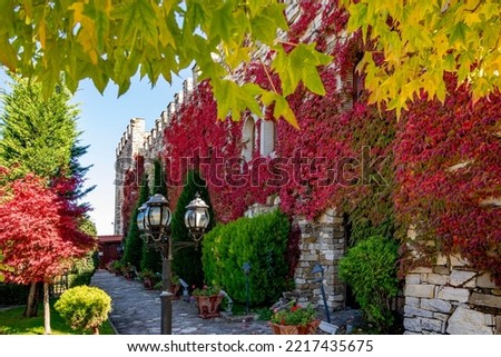 Amazingly colorful castle wall - yard covered with beautifully colored leaves in a sunny autumn day