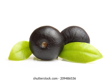 Amazon Acai Berry Fruit With Leaf Isolated On White Background.