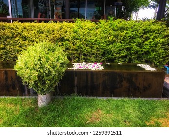 Bilder Stockfotos Und Vektorgrafiken Mauer Garten Shutterstock