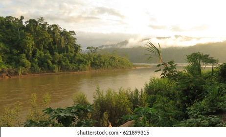 Amazon Rainforest