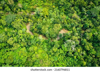 Amazon Rainforest Aerial View. Tropical Green Jungle In Peru, South America. Bird's-eye View.