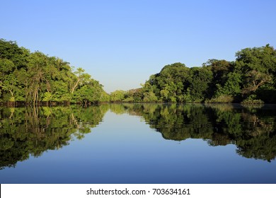 The Amazon Rainforest And Blue Sky Perfectly Mirrored In The Water. Amazonas, Brazil