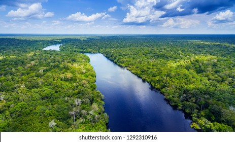 Amazon rainforest in Brazil - Shutterstock ID 1292310916