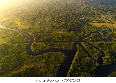 Amazon Rainforest In Brazil