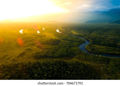 Amazon Rainforest In Brazil