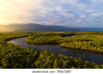 Amazon Rainforest In Brazil