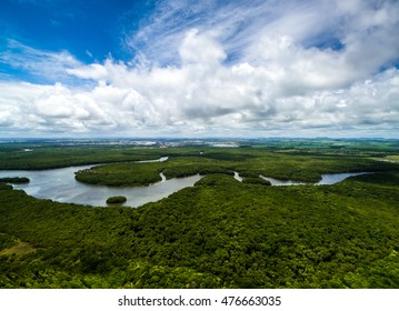 Amazon Rainforest In Brazil, South America