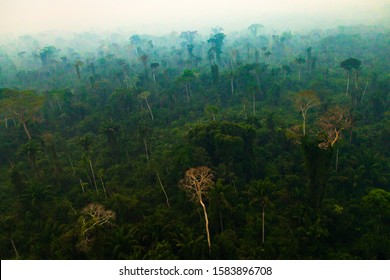 The Amazon Rainforest Covered By Smoke From Burning. Fire Is Used For Deforestation And Formation Of Cattle Farms. - Pará, Brazil