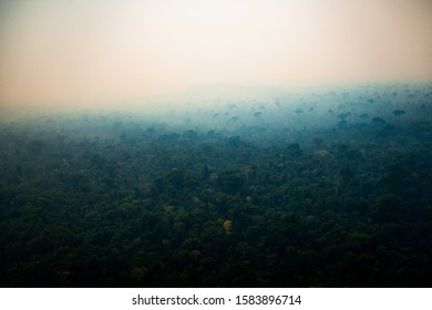 The Amazon Rainforest Covered By Smoke From Burning. Fire Is Used For Deforestation And Formation Of Cattle Farms. - Pará, Brazil