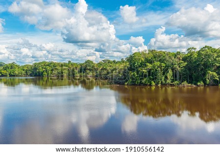 Amazon rainforest lake reflection, the Amazon river basin comprise the countries of Bolivia, Brazil, Colombia, Ecuador, Peru, (French) Guyana, Suriname and Venezuela.