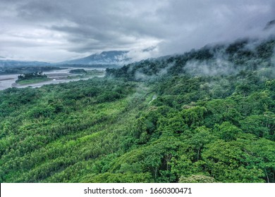 The Amazon Rainforest In Peru