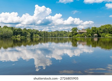 Amazon rainforest summer reflection. The Amazon river basin comprises the countries of Brazil, Bolivia, Colombia, Ecuador, Guyana, Suriname, Peru and Venezuela. 