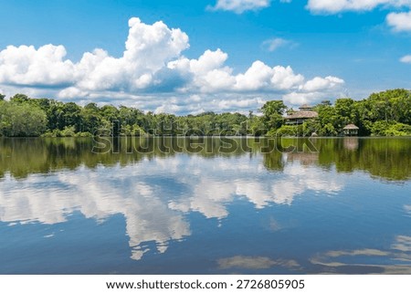 Amazon rainforest summer reflection. The Amazon river basin comprises the countries of Brazil, Bolivia, Colombia, Ecuador, Guyana, Suriname, Peru and Venezuela. 