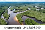 Amazon Rainforest. Trees, the Rio and their colors dominate South America