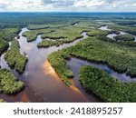 Amazon Rainforest. Trees, the Rio and their colors dominate South America