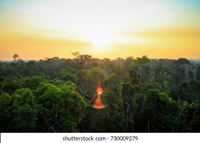 Amazon  Region Near Puerto Maldonado