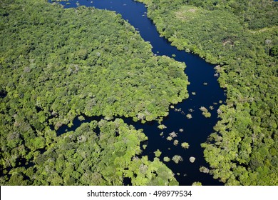 Amazon River Aerial Photography