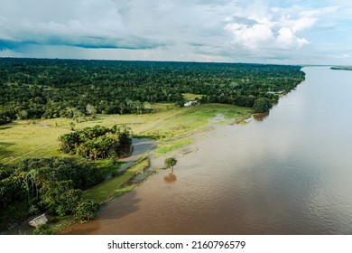 Amazon River Aerial View. Tropical Green Rainforest In Peru, South America. Bird's-eye View.