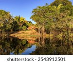 AMAZON RIVER, BRAZIL:  quiet water mirroring Jungle Lodge in late afternoon sunlight at golden hour, river boat trip, "Lago Juma", "Parana do Mamori", about 100 km south of Manaus, Amazonas state