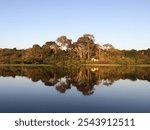 AMAZON RIVER, BRAZIL:  quiet water mirroring late afternoon sunlight at golden hour, river boat trip, "Lago Juma", "Parana do Mamori", about 100 km south of Manaus, Amazonas state