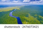 The Amazon River offers breathtaking views with lush greenery, diverse wildlife, and a tranquil flowing river.