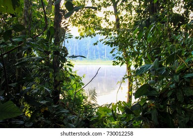 Amazon River In Puerto Maldonado Peru