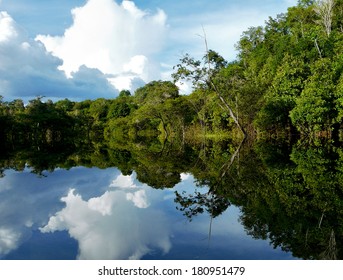 Amazon River Reflections, Brazil 