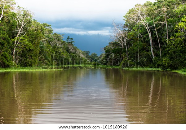 アマゾン川は 南アメリカでは 水の量と水の量の差で世界最大の川です ブラジル ペルー ボリビア コロンビア エクアドル ベネズエラ ガイアナを経由する の写真素材 今すぐ編集