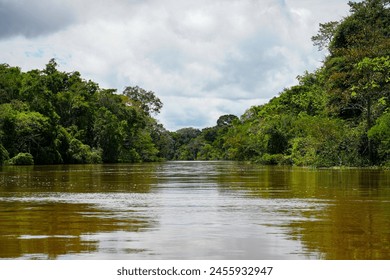 Amazon River Tributary, Empty with no People - Peru Stock Photo