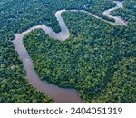 The Amazon River in the tropical rainforest	