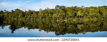 Amazonia. Kayak in the morning on the Christina lagoon in the Amazon jungle. Selwa on the border of Brazil and Peru. Javari Valley, (Valle del Yavari) South America