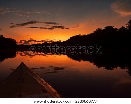 Amazonia. Night view from boat of Amazon jungle over the Christina lagoon during the sunset time. Selva on the border of Brazil and  Peru.  Javari Valley, (Valle del Yavarí) South America