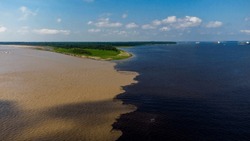 Amazonia, River Amazone Mixing With River Negro Next To Manaus, Brazil. With A Drone.