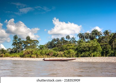 Amazonian Rainforest. Napo River. Ecuador