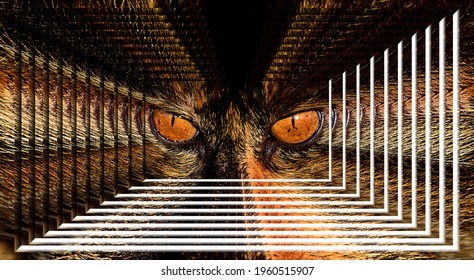 518 Almond shaped eyes Images, Stock Photos & Vectors | Shutterstock