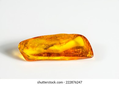 Amber With Embedded Insect