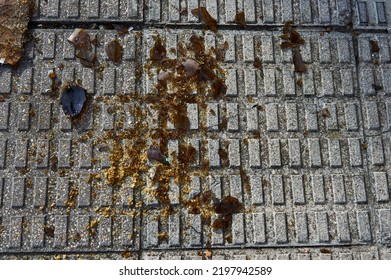 Amber Glass Shards From A Broken Beer Bottle On The Concrete Floor Tiles