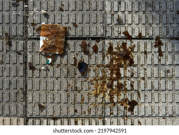 Amber Glass Shards From A Broken Beer Bottle On The Concrete Floor Tiles