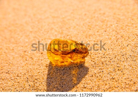 Similar – Amber at the Baltic Sea beach