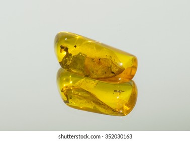 amber stone inside a midge