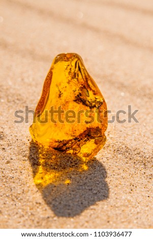 Amber at the Baltic Sea beach