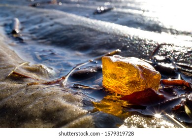 Amber In The Wadden Sea In Cuxhaven, Germany